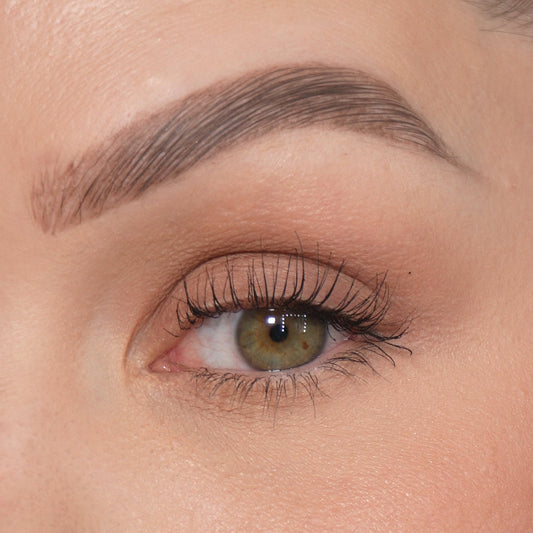 Lidschatten 254 Mocha