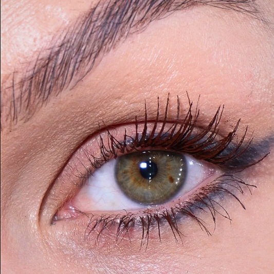 Mascara Grand Danois Brun