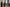 Aktionsbanner