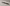 Promotion banner