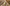 Promotion banner