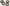 Promotion banner