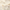 Intense Care Lippenstift 45 Hazel