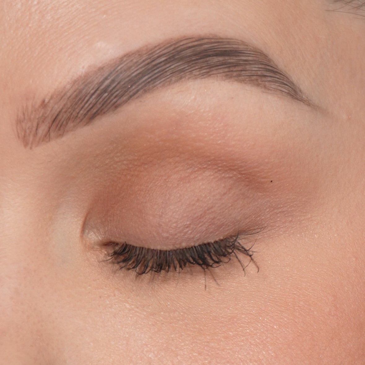 Lidschatten 254 Mocha