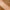 Hide & Blend Concealer C1