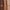 Eyeshadow 592 Golden Earth