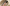 Promotion banner
