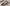 Promotion banner