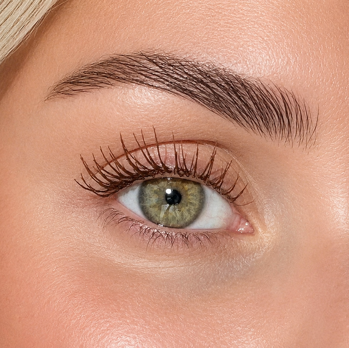 Classic Eye Set - Brown