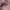 Wasserfester Eyeliner Aubergine